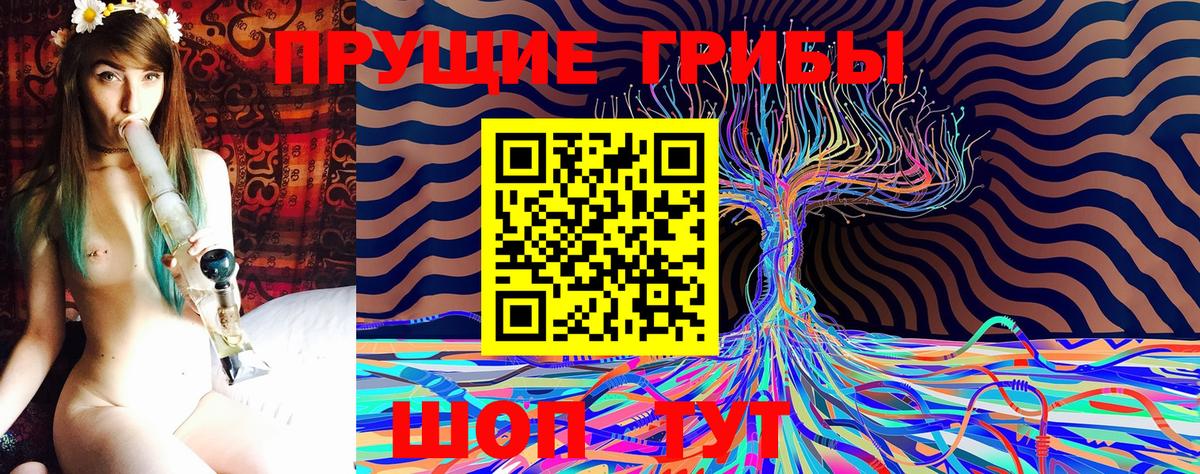 Псилоцибиновые грибы мицелий Губаха