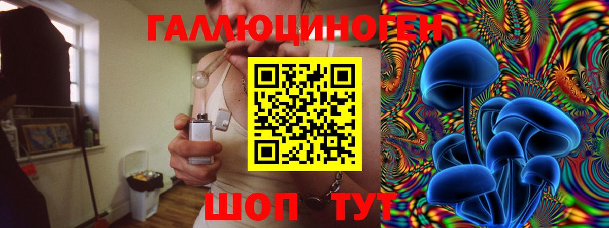Галлюциногенные грибы Psilocybe  Вход с VPN  Губаха 